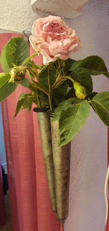 4b Oesterlen Tomelilla