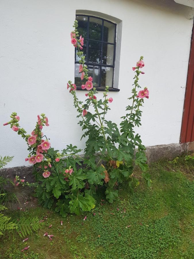 4b Oesterlen * Tomelilla